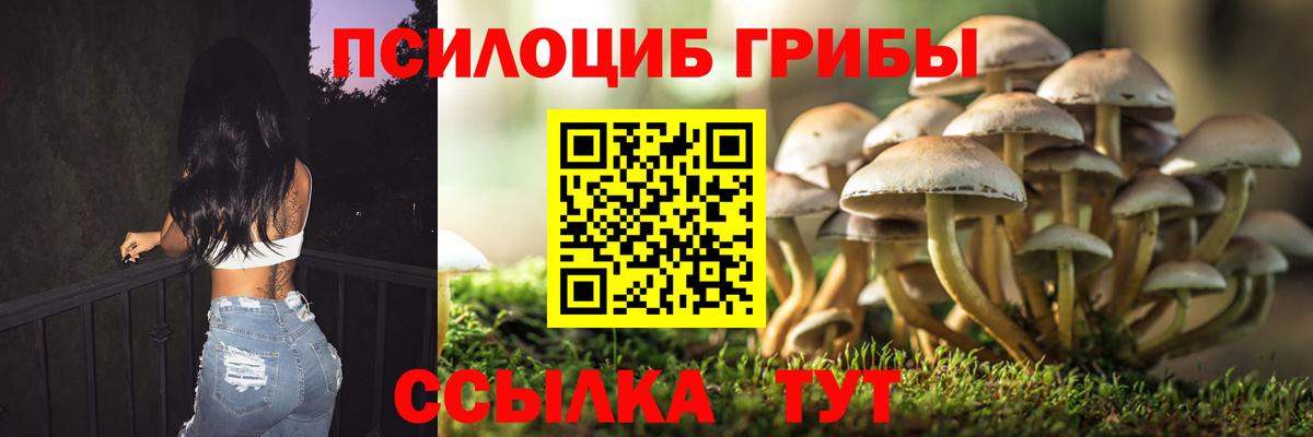 Уварово  Галлюциногенные грибы Cubensis  Псилоцибиновые грибы мухоморы  Вход с VPN 